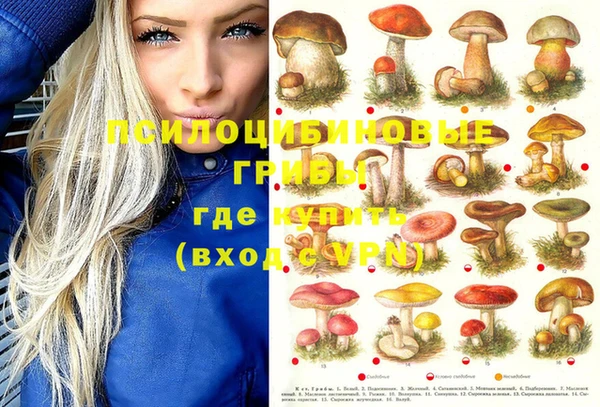 МДПВ Армянск