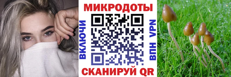 Галлюциногенные грибы мухоморы  кракен как зайти  Гурьевск 